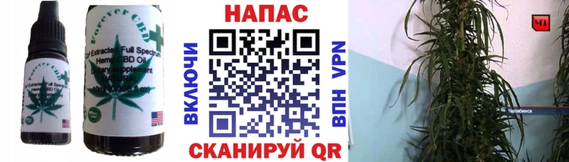 купить  цена  Вятские Поляны  Cannafood конопля 