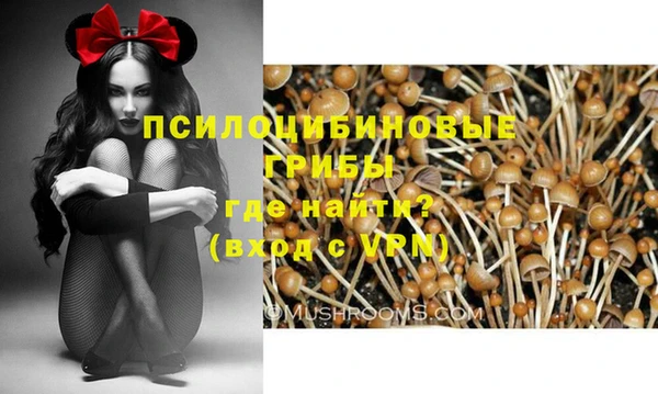 PSILOCYBIN Балабаново