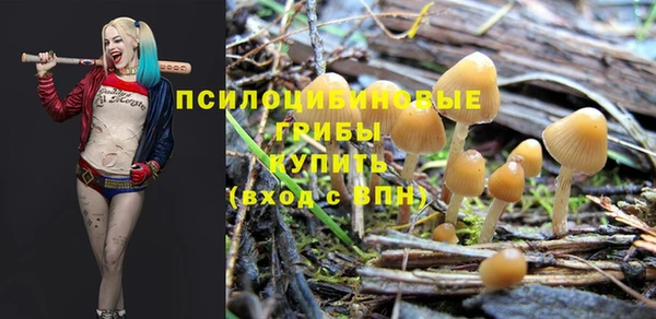 ECSTASY Баксан