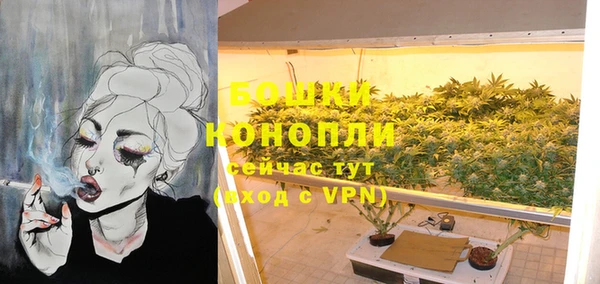 PSILOCYBIN Балабаново
