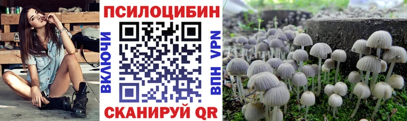 Псилоцибиновые грибы MAGIC MUSHROOMS  продажа наркотиков  Вятские Поляны 